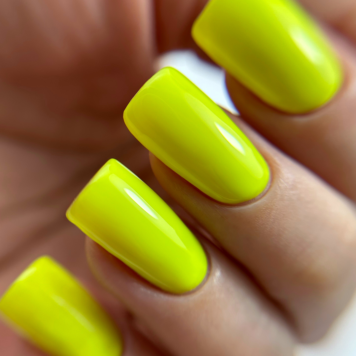 PNB 038/Gel nail polish PNB 8 ml 038