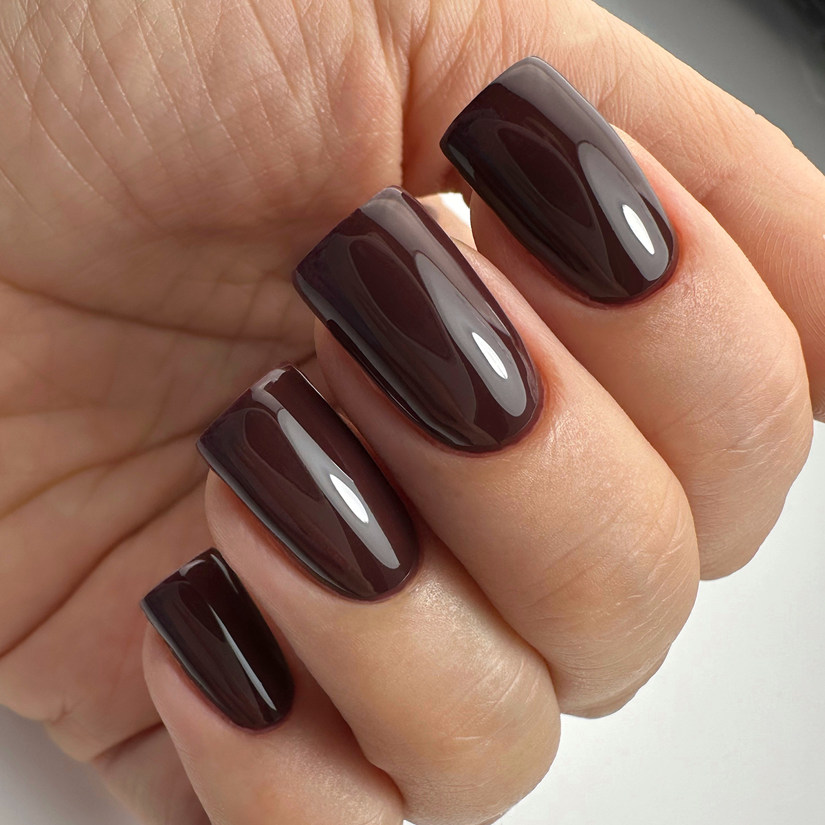 PNB 060/Gel nail polish PNB 8 ml 060
