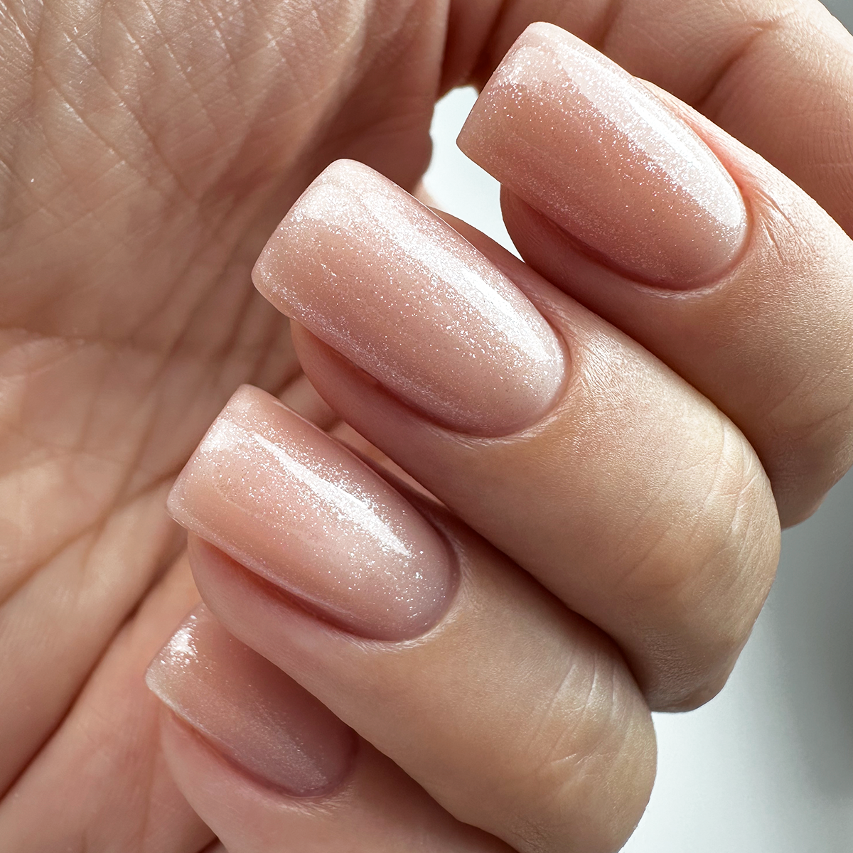 PNB 070/Gel nail polish PNB 8 ml 070