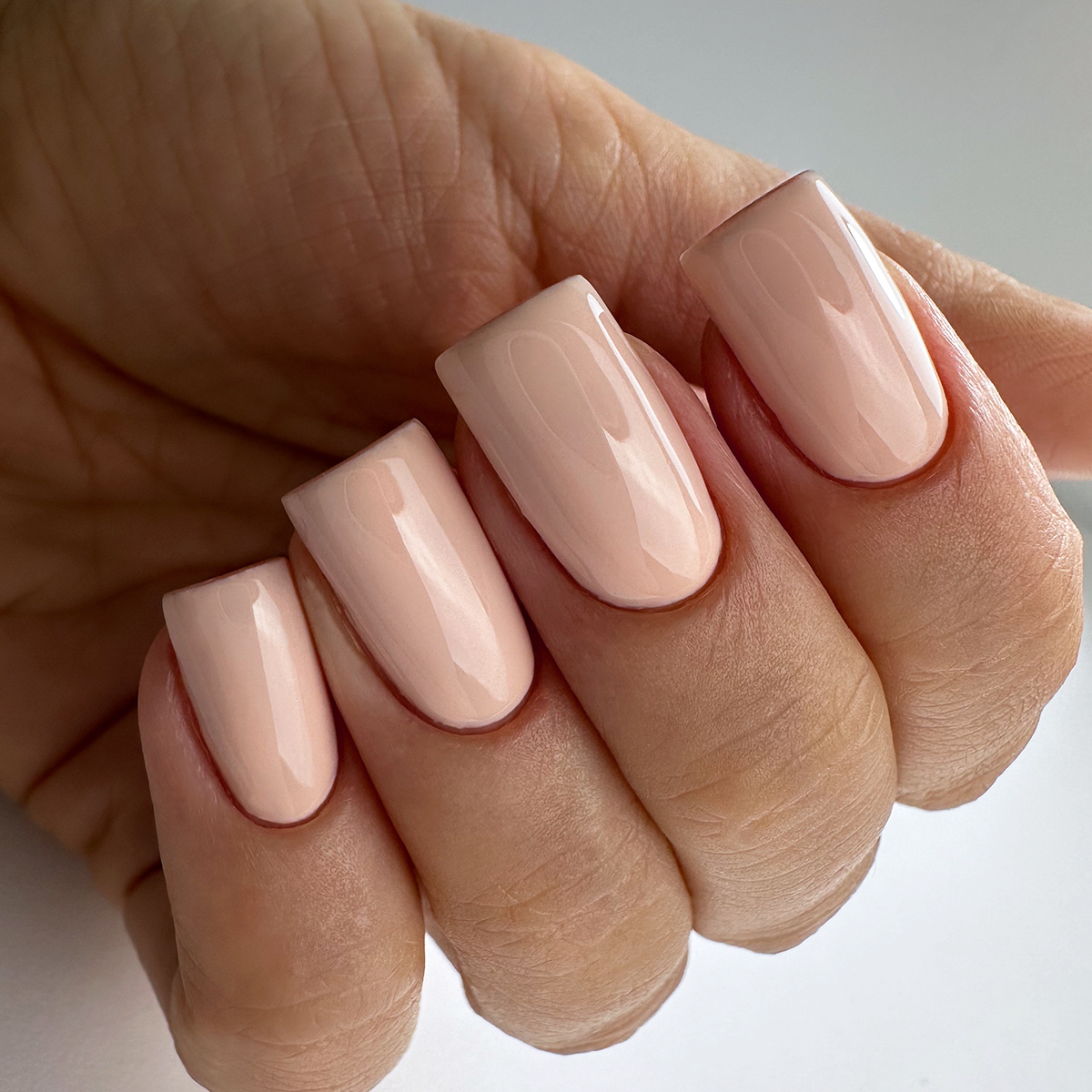 PNB 088/Gel nail polish PNB 8 ml 088