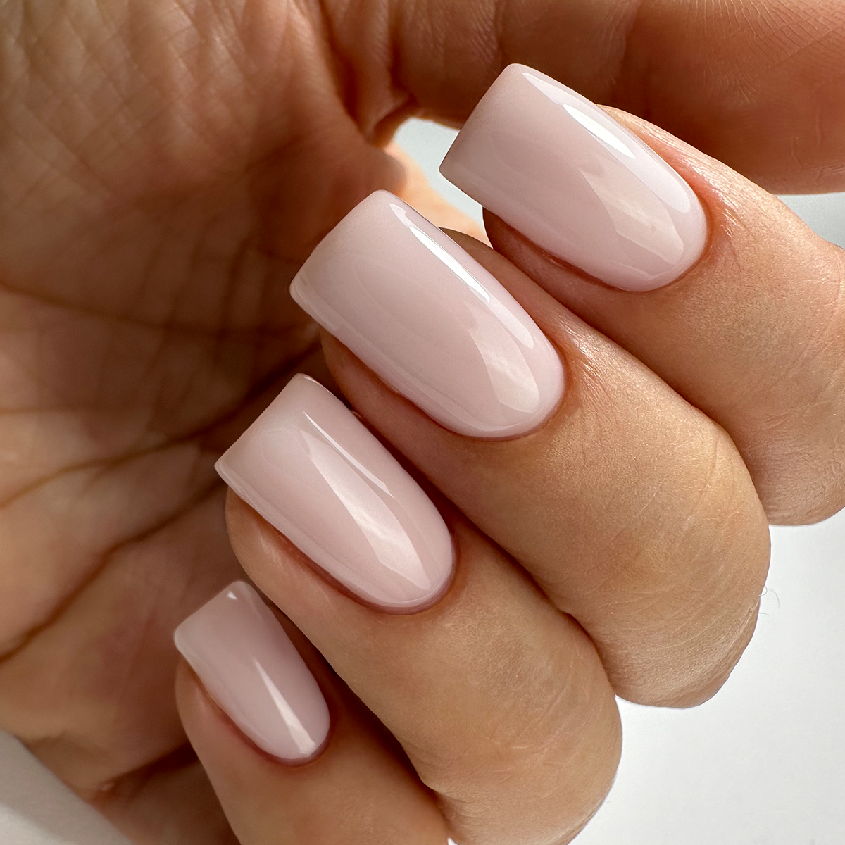 PNB 099/Gel nail polish PNB 8 ml 099