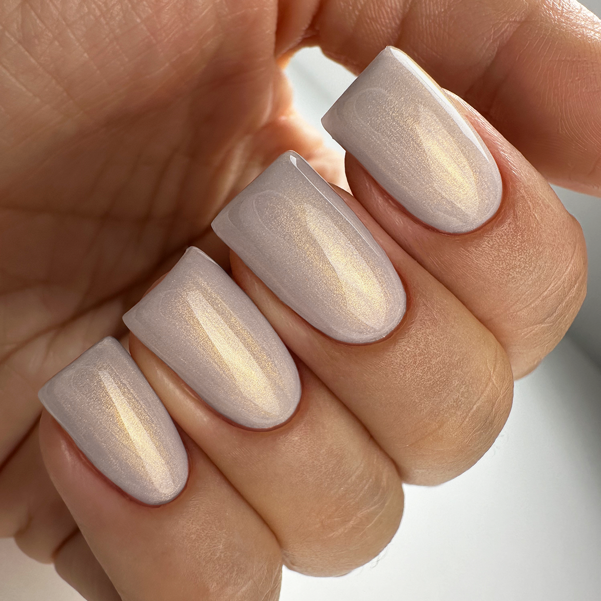PNB 100/Gel nail polish PNB 8 ml 100