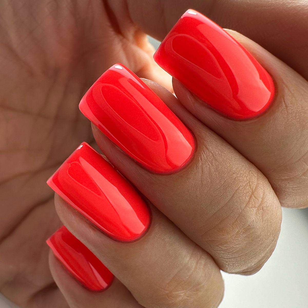 PNB 112/Gel nail polish PNB 8 ml 112