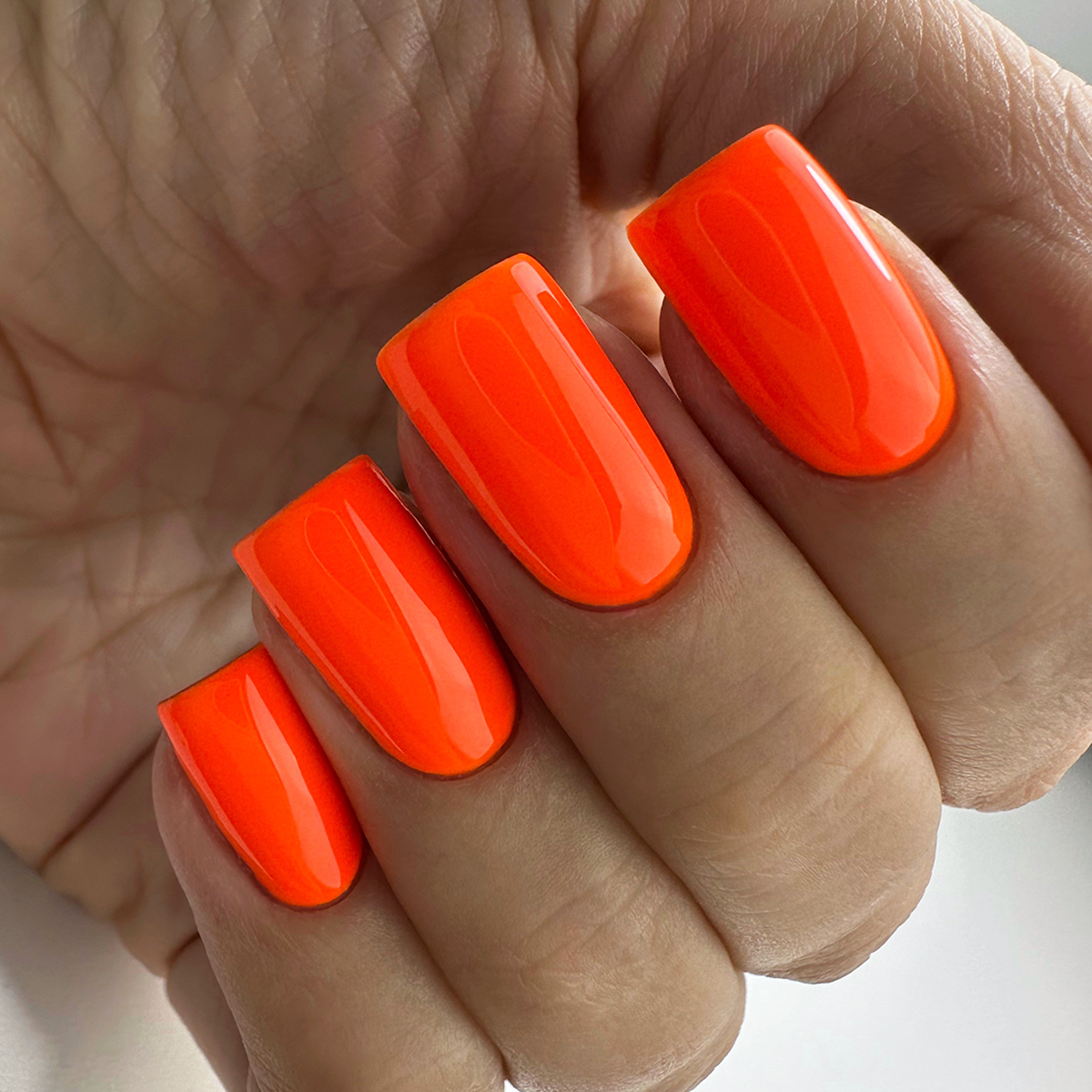 PNB 113/Gel nail polish PNB 8 ml 113