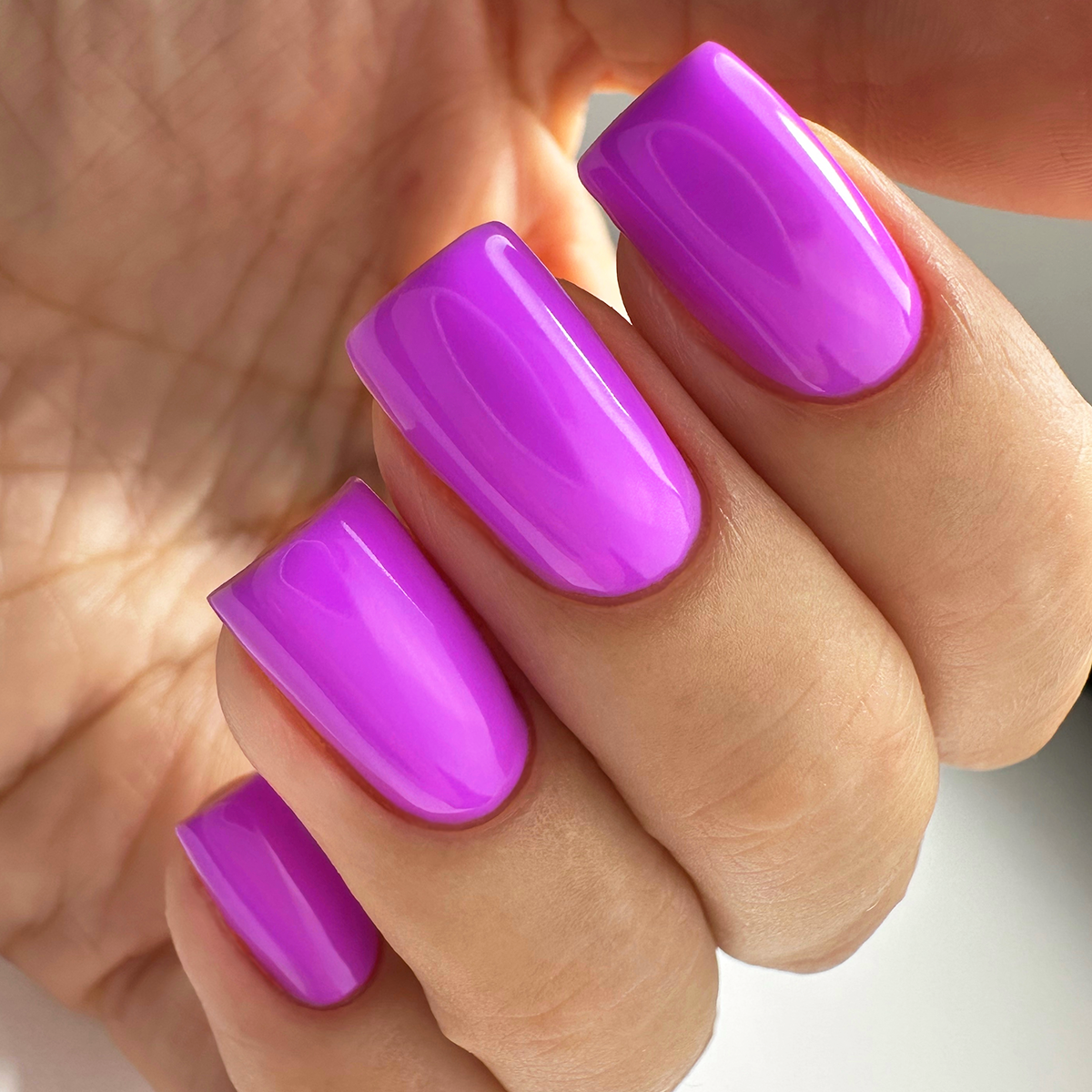 PNB 115/Gel nail polish PNB 8 ml 115