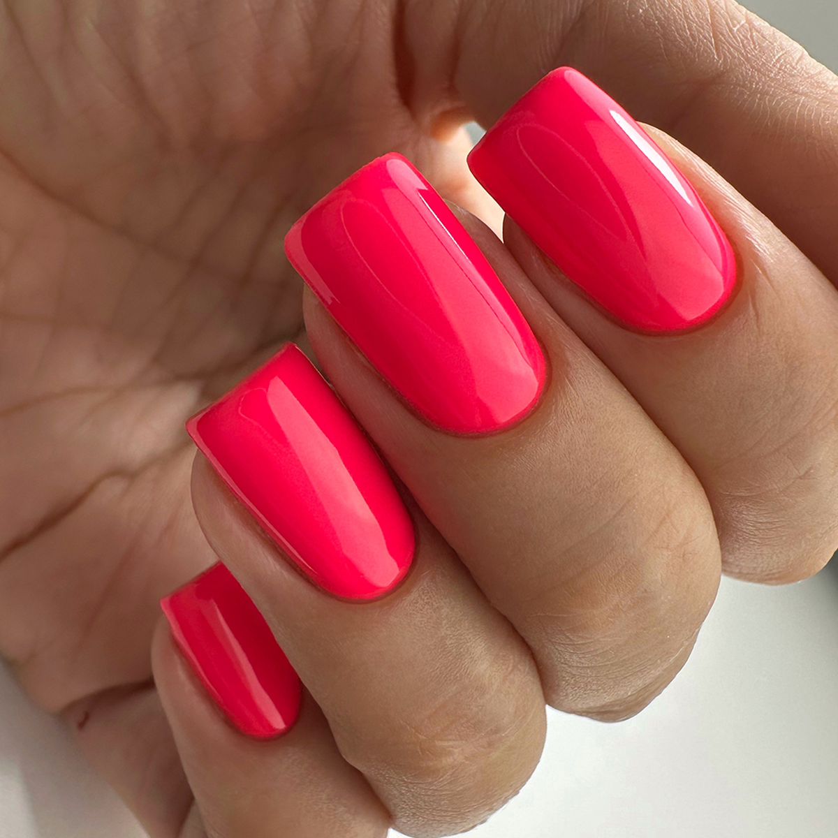PNB 116/Gel nail polish PNB 8 ml 116