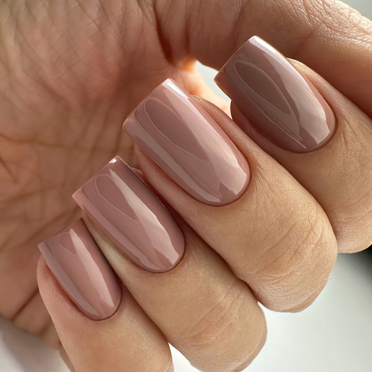 PNB 121/Gel nail polish PNB 8 ml 121