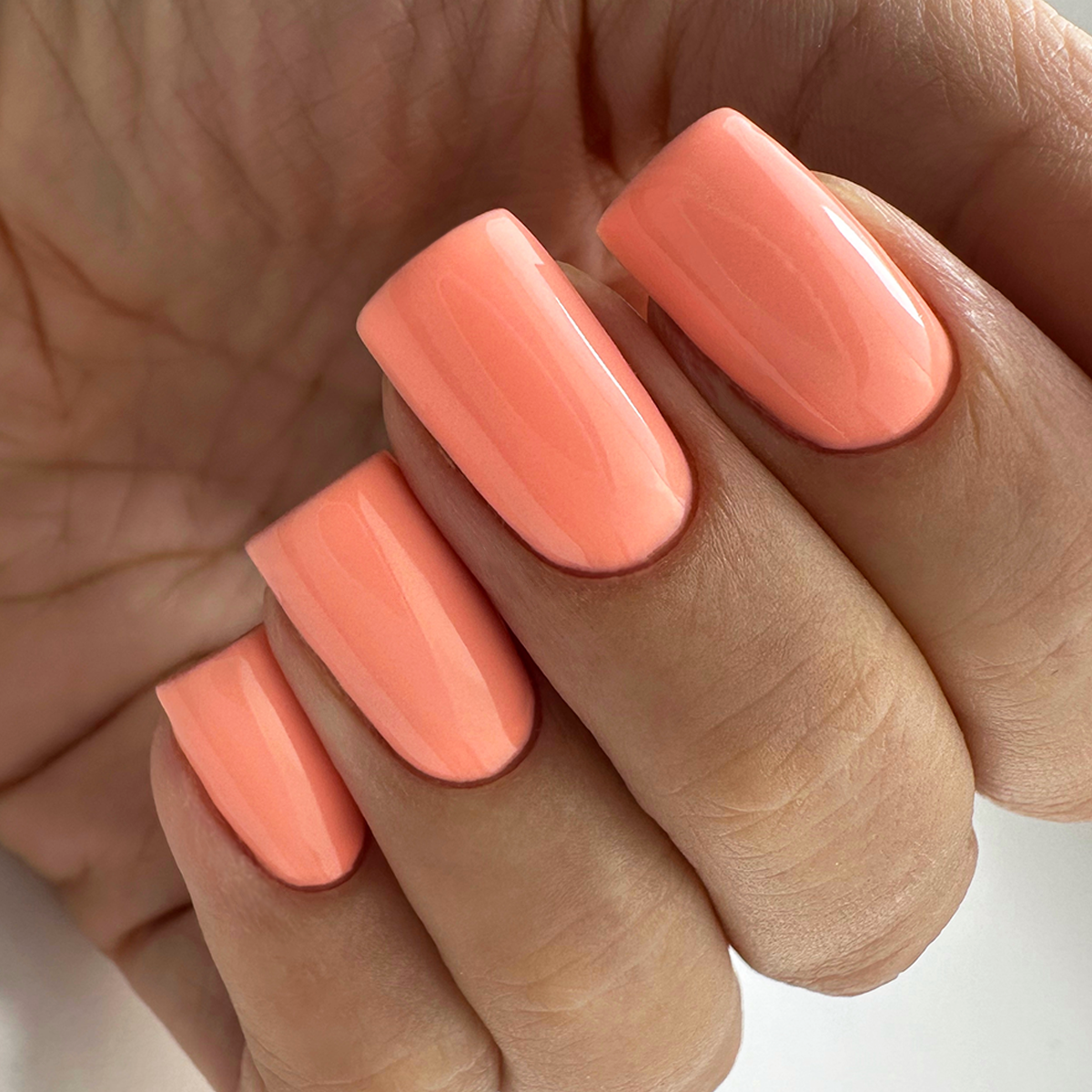 PNB 138/Gel nail polish PNB 8 ml 138