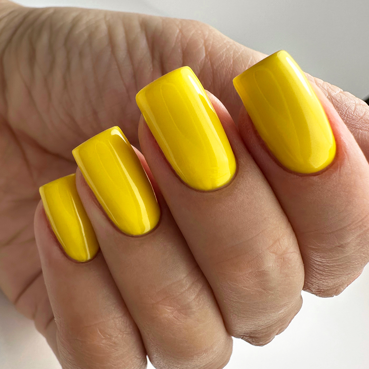 PNB 141/Gel nail polish PNB 8 ml 141