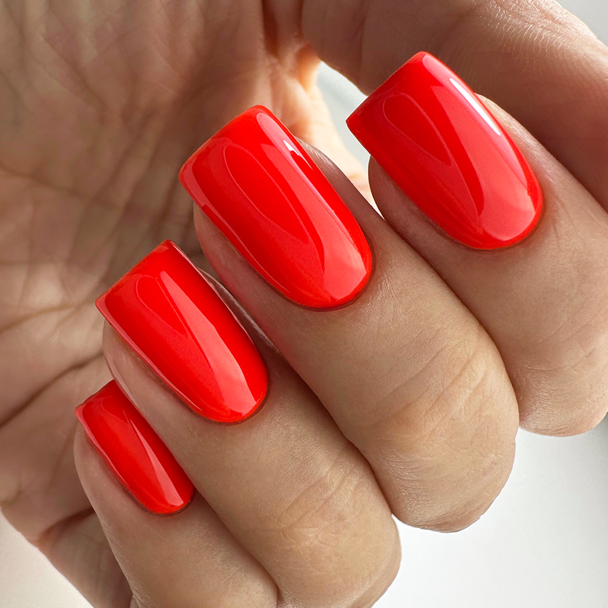 PNB 146/Gel nail polish PNB 8 ml 146