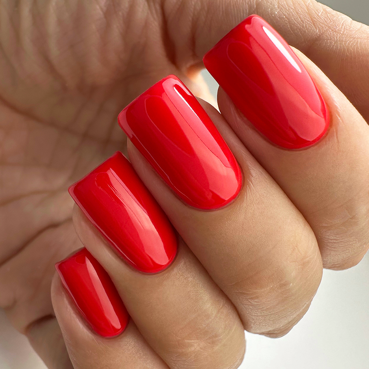 PNB 147/Gel nail polish PNB 8 ml 147