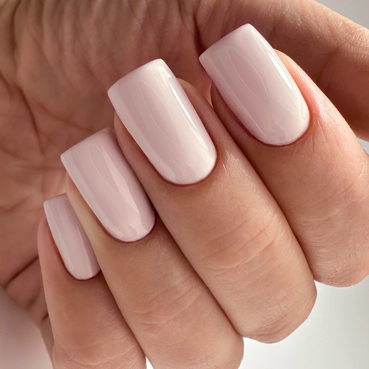 PNB 160/Gel nail polish PNB 8 ml 160