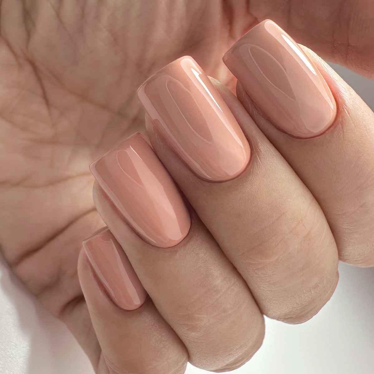 PNB 167/Gel nail polish PNB 8 ml 167
