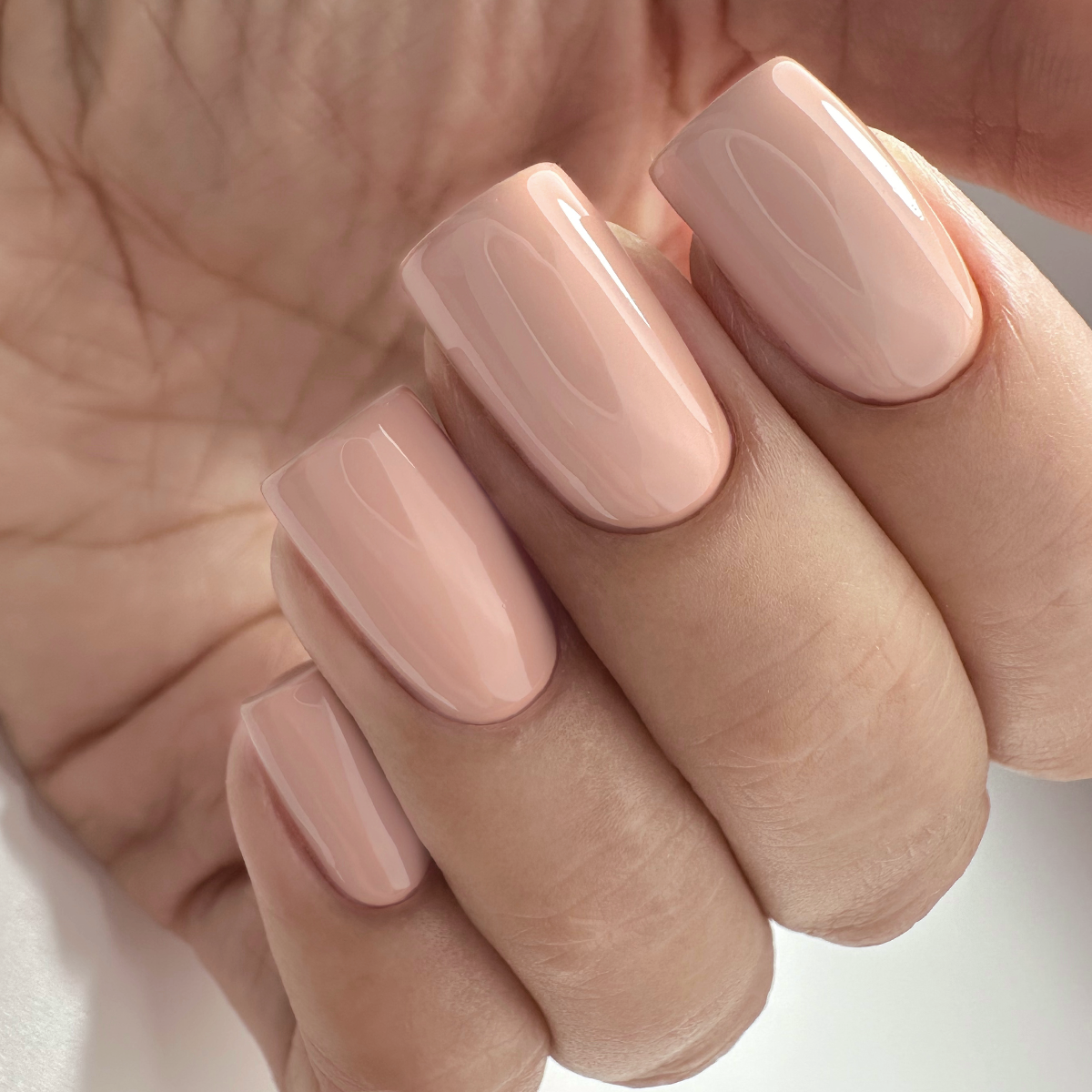 PNB 168/Gel nail polish PNB 8 ml 168
