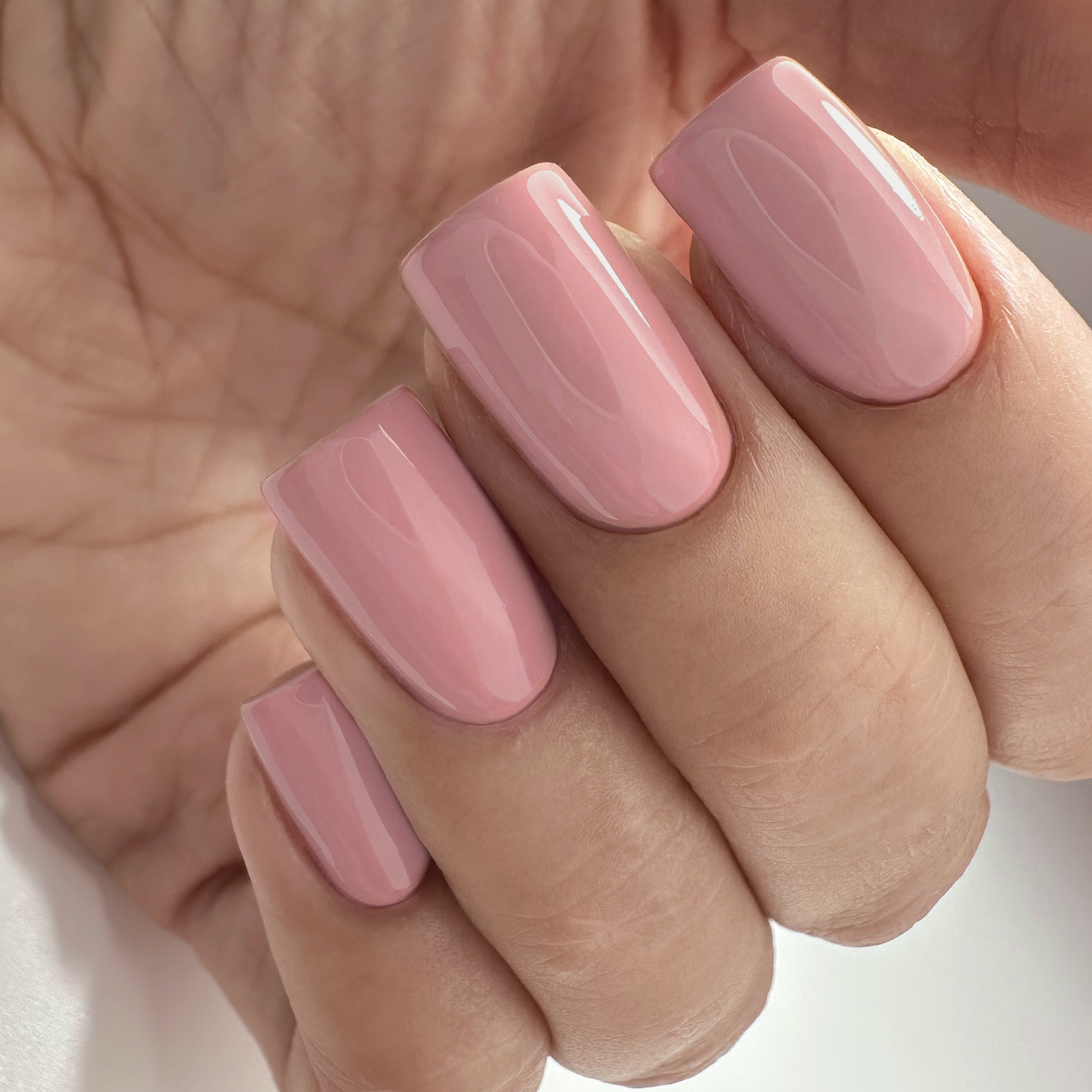 PNB 170/Gel nail polish PNB 8 ml 170