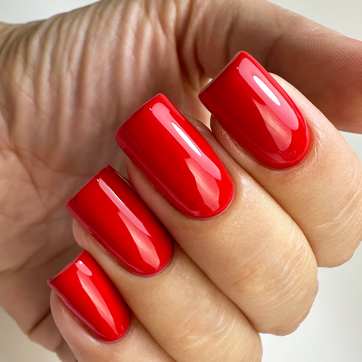 PNB 206/Gel nail polish PNB 8 ml 206
