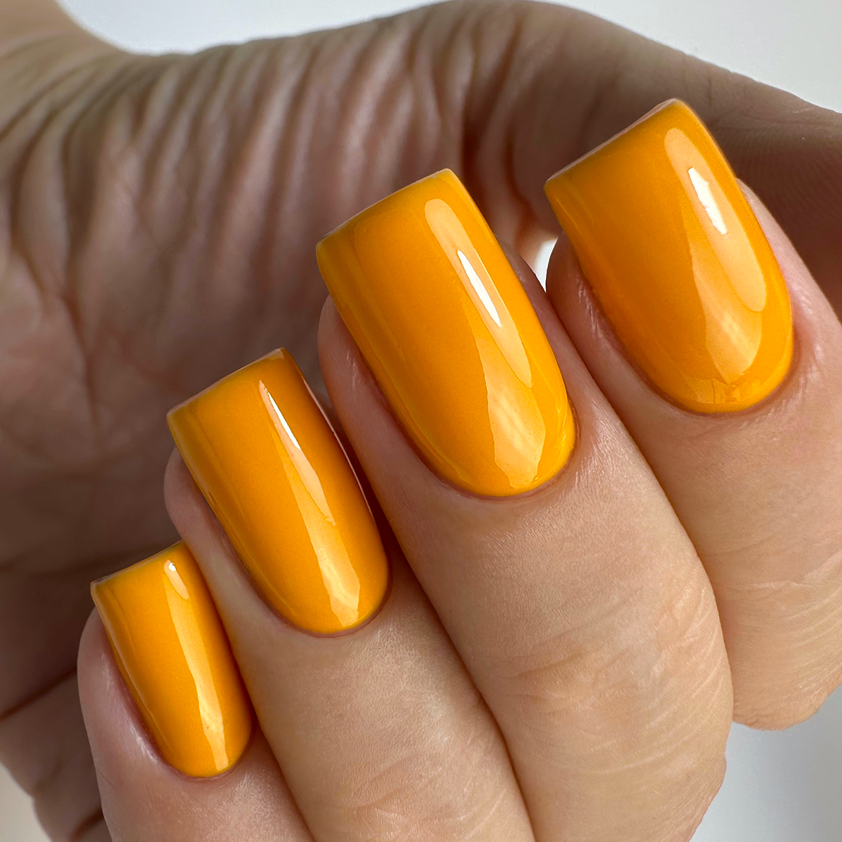 PNB 222/Gel nail polish PNB 8 ml 222