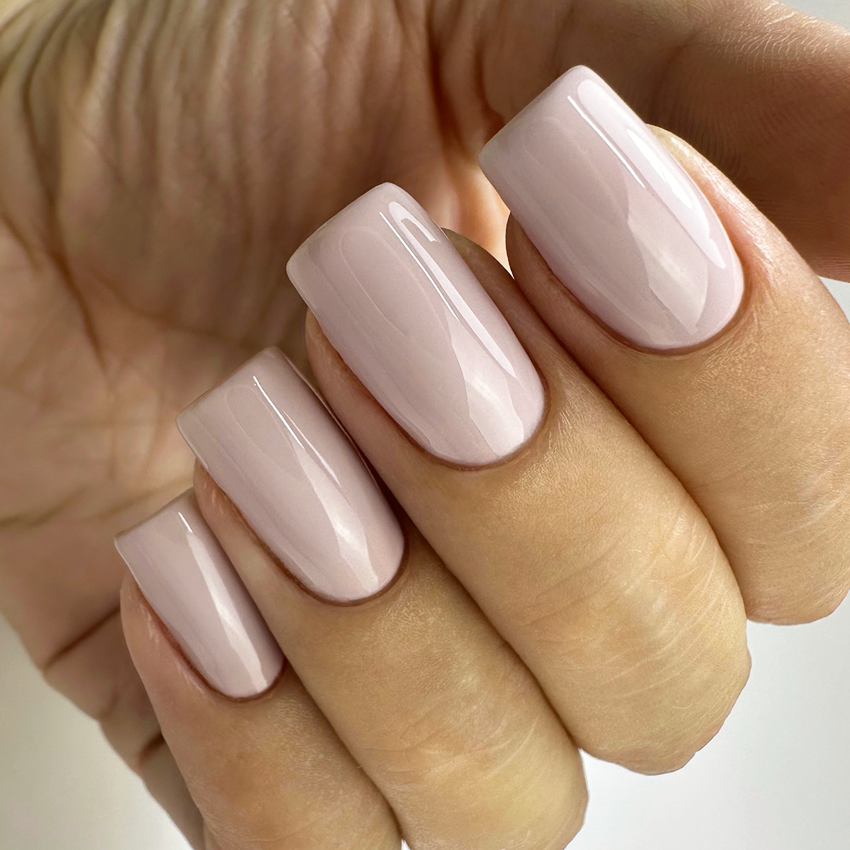 PNB 228/Gel nail polish PNB 8 ml 228