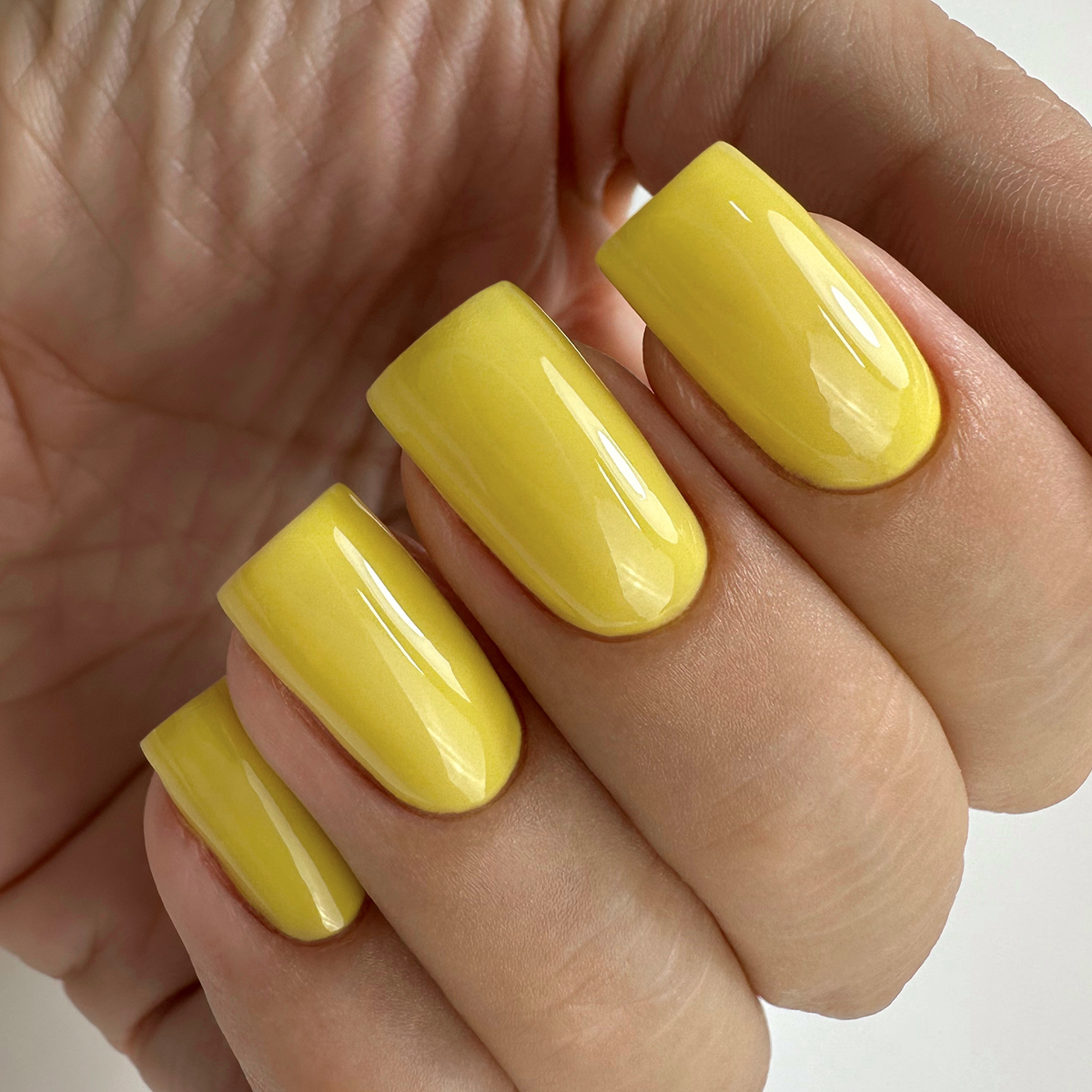 PNB 249/Gel nail polish PNB 8 ml 249
