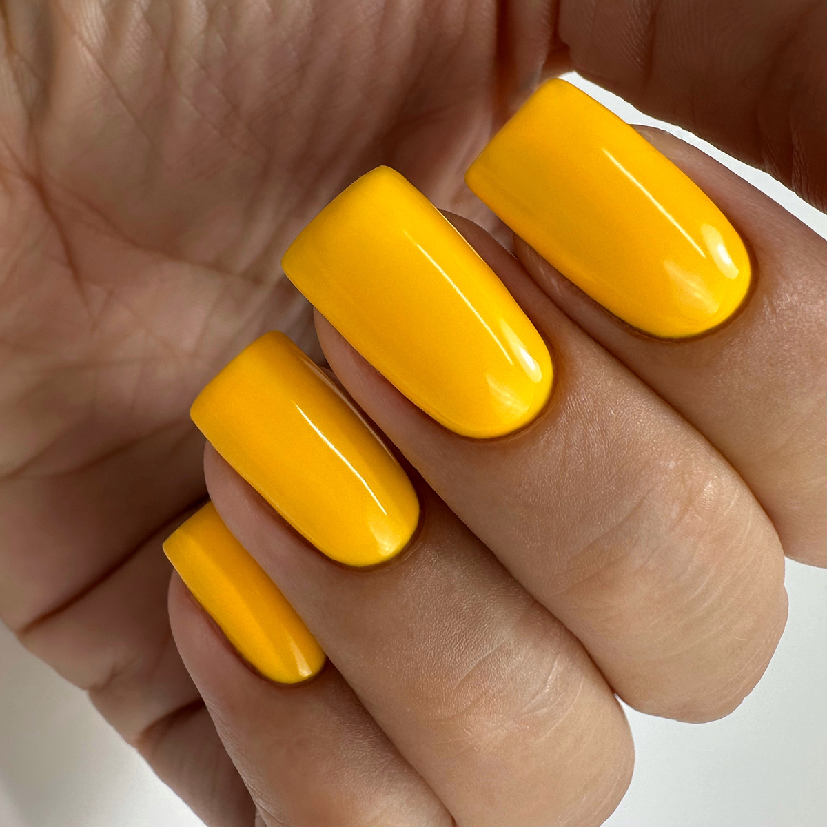 PNB 253/Gel nail polish PNB 8 ml 253