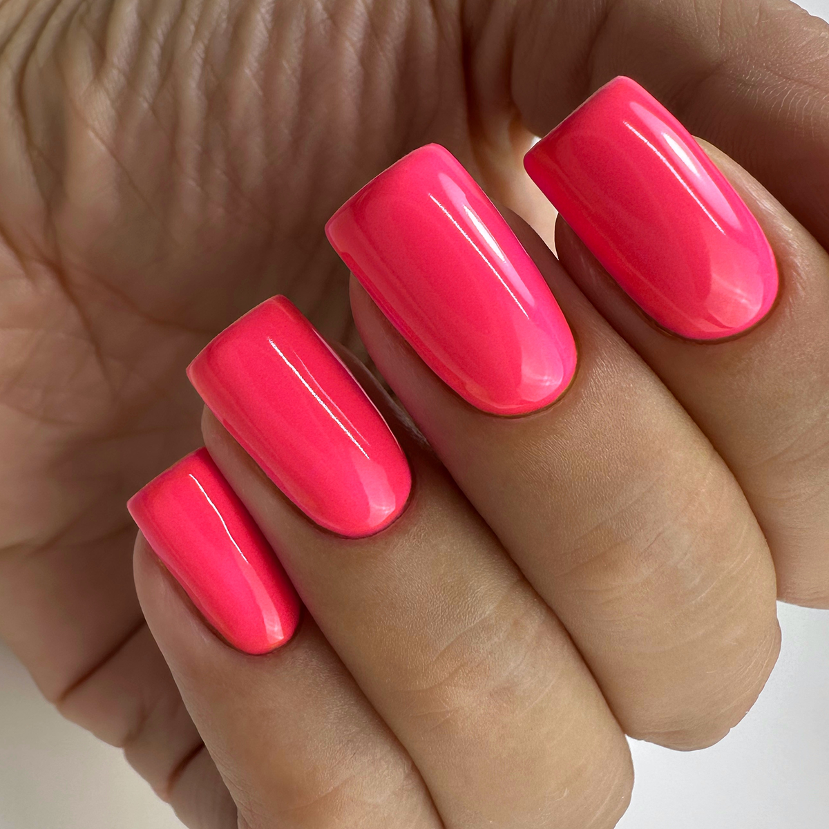 PNB 256/Gel nail polish PNB 8 ml 256
